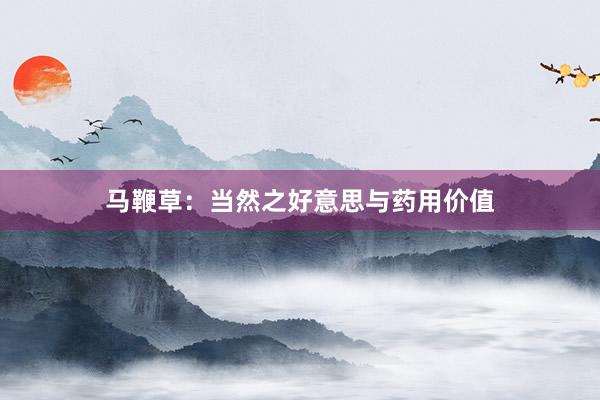 马鞭草：当然之好意思与药用价值