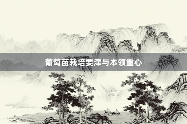 葡萄苗栽培要津与本领重心
